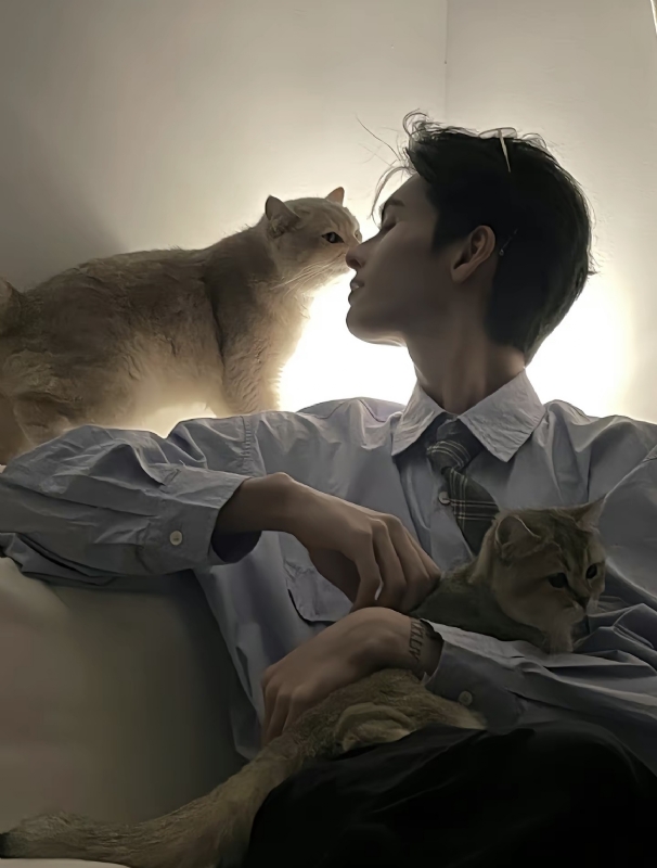 怪猫的第一张照片--永泰交友网